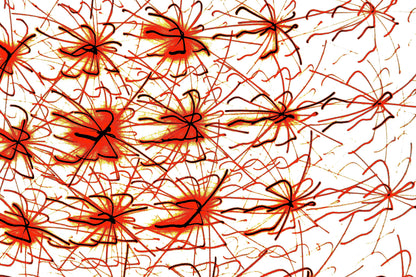 ROTE NEURONEN — Premium Kunstprint