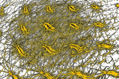 GOLDEN NETWORK — Premium Kunstprint