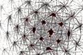 NEURAL WEB — Premium Digitaler Download