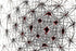 NEURAL WEB — Premium Digitaler Download