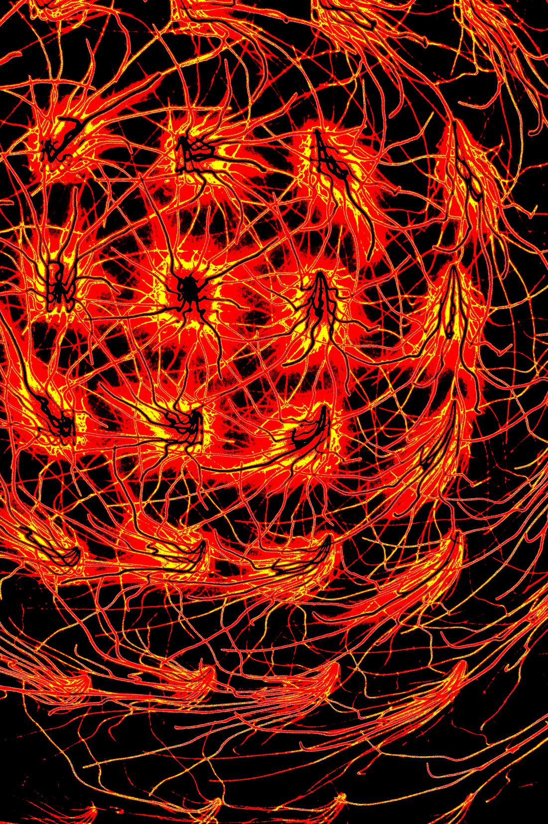 CRIMSON FLUX — Digitale Kunst zum Download