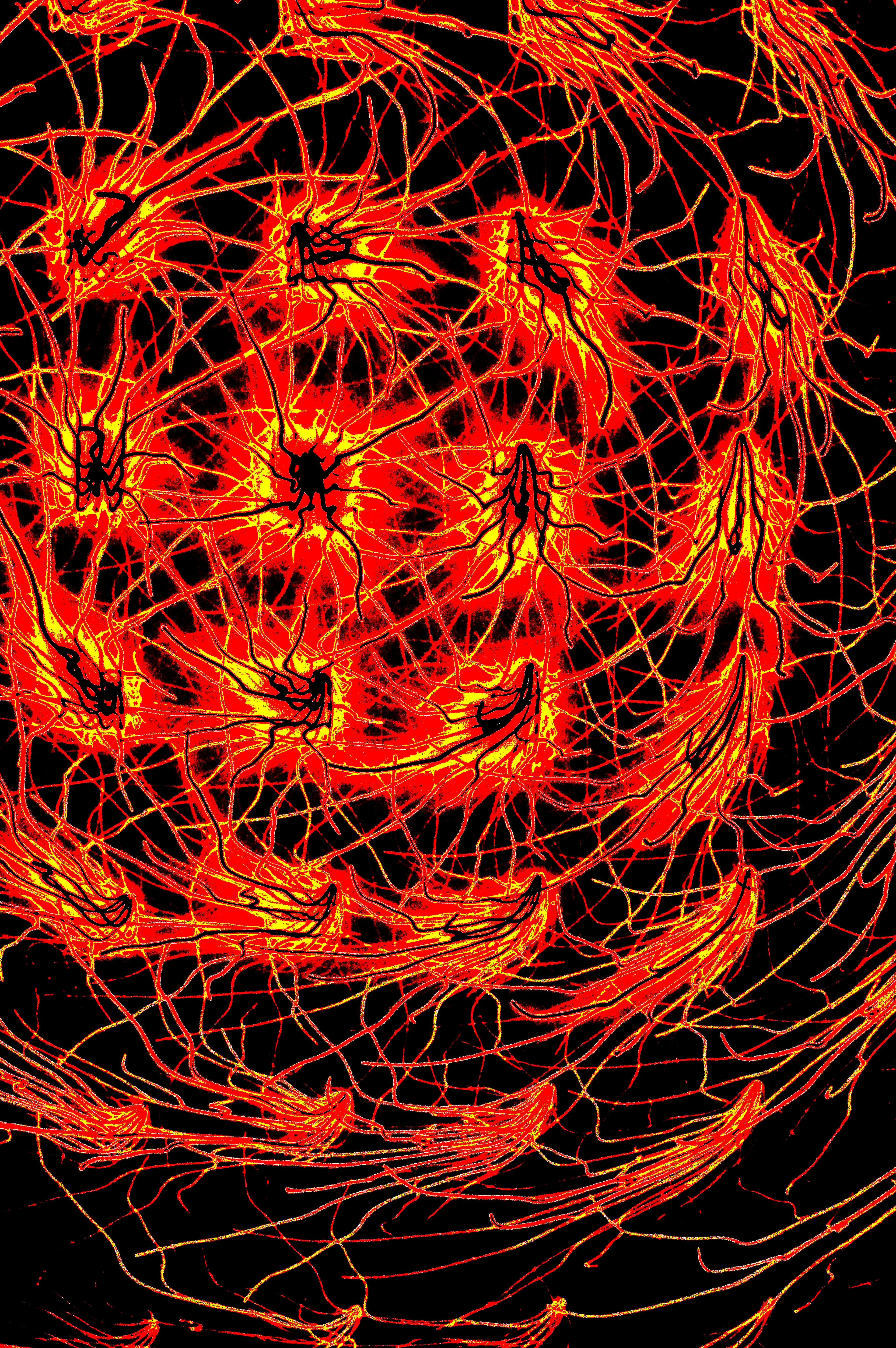 CRIMSON FLUX — Premium Kunstprint