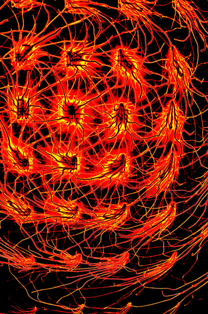 CRIMSON FLUX — Digital Art for Download
