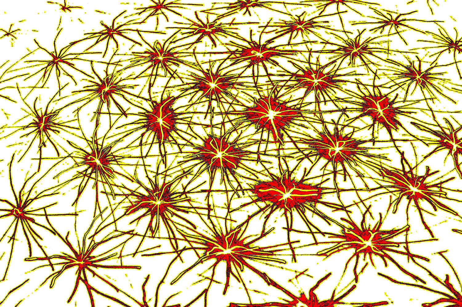 Neural Sparks— Premium Digitaler Download