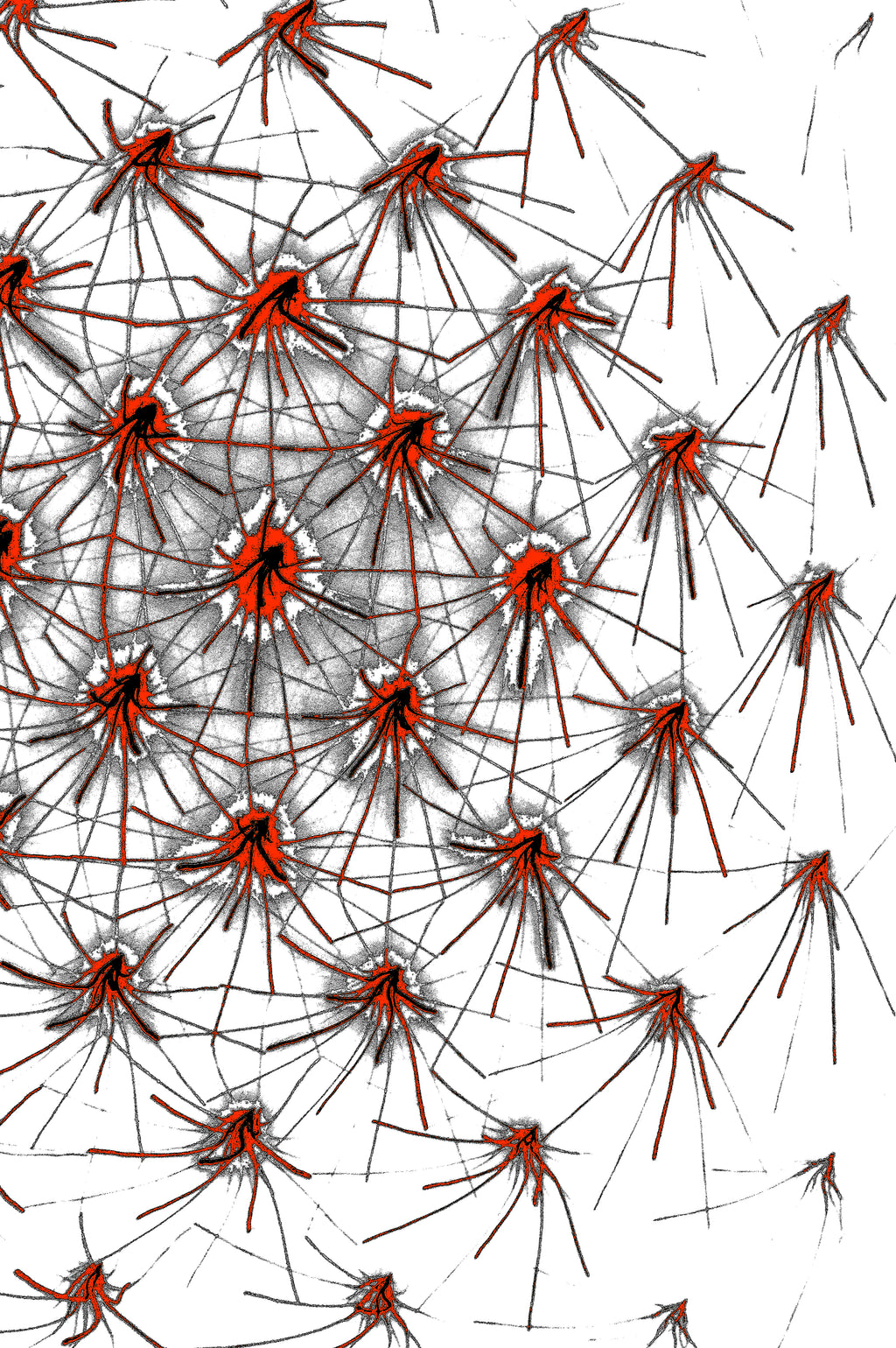 CRIMSON NETWORK — Premium Kunstprint