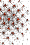 CRIMSON NETWORK — Premium Kunstprint