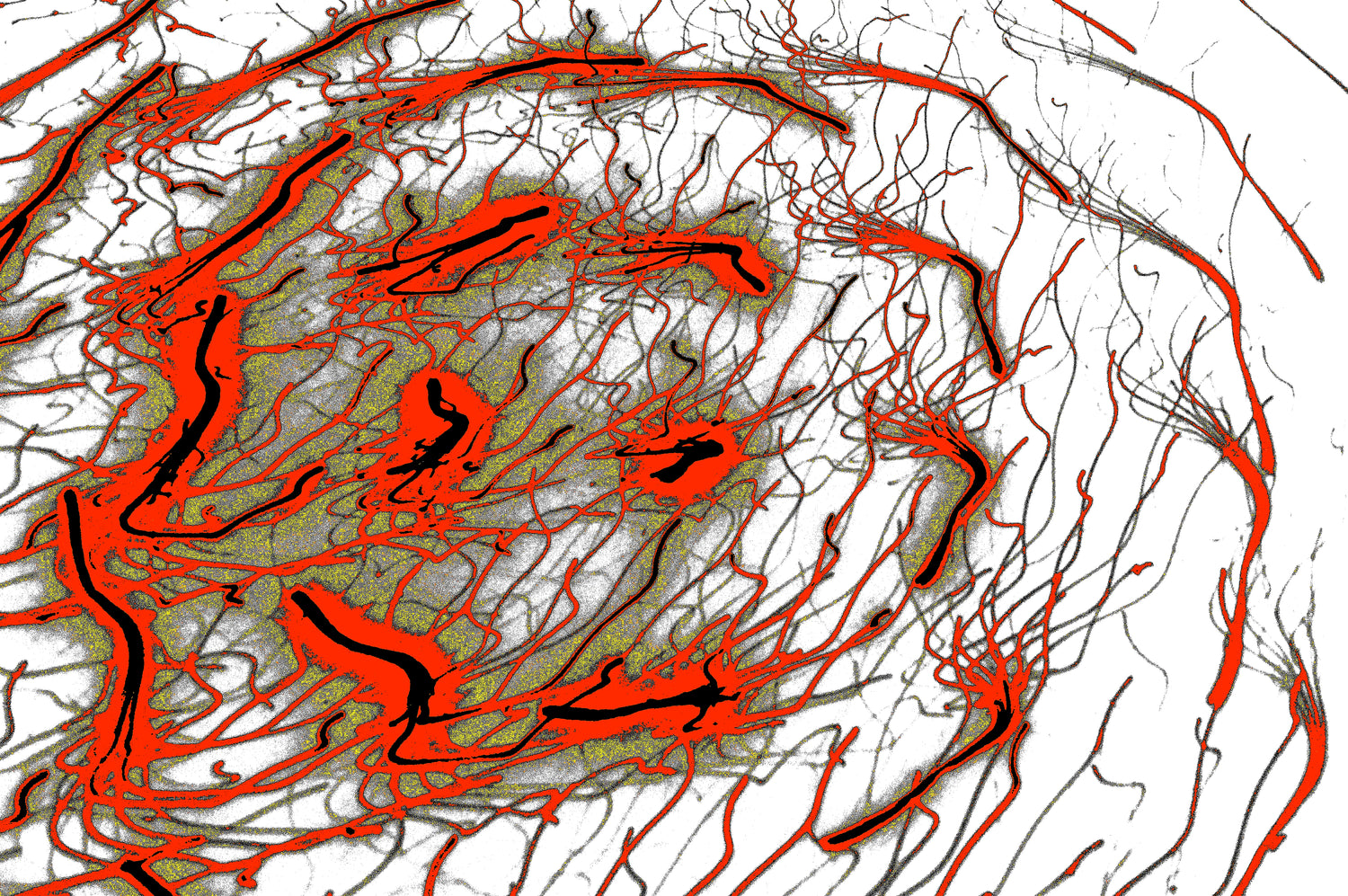 digitale wandkunst crimson vortex