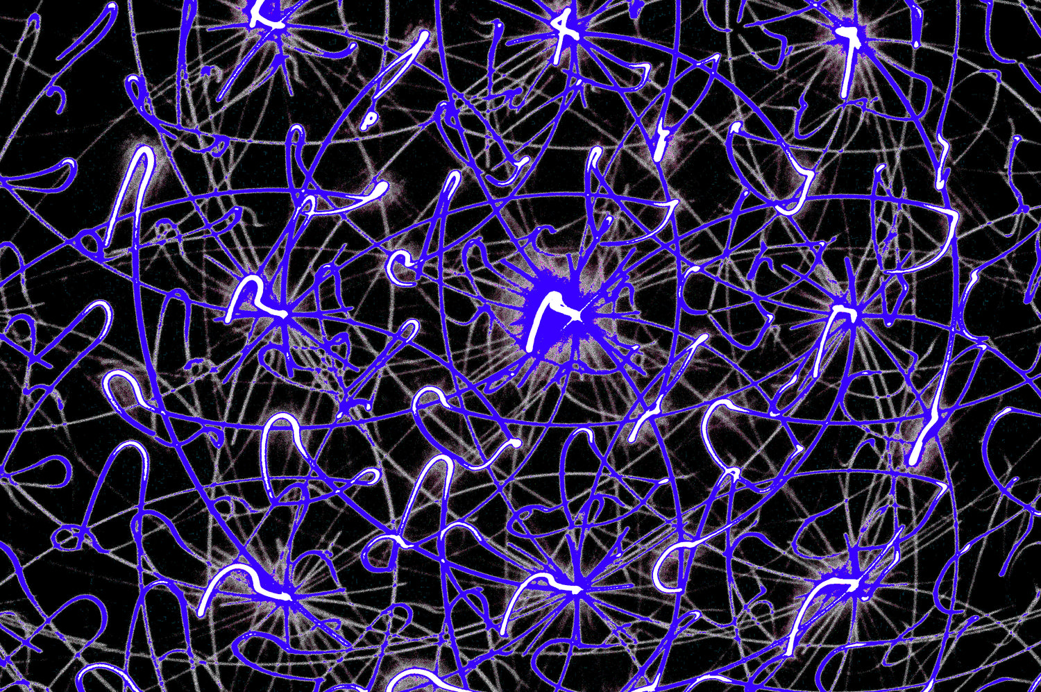 COSMIC PULSE WEB — Premium Digitaler Download