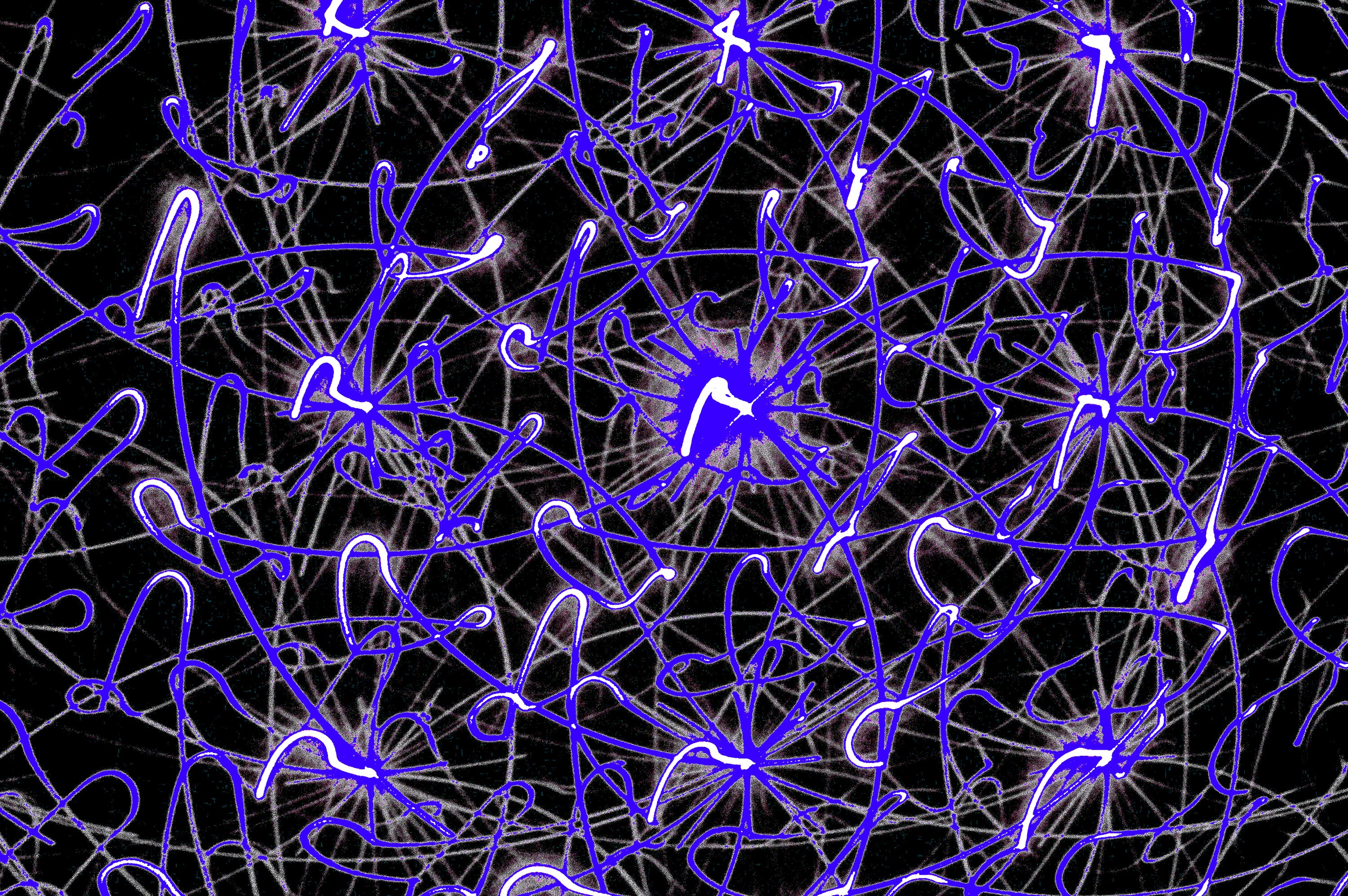 COSMIC PULSE WEB — Premium Digitaler Download