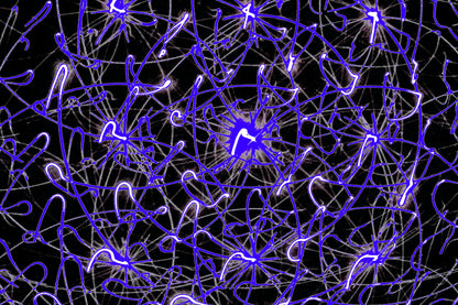 COSMIC PULSE WEB — Premium Digitaler Download