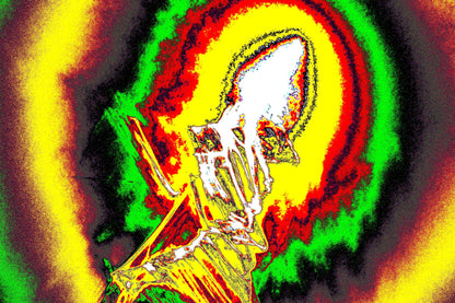 SOLAR SQUID RADIANCE — Digitaler Download