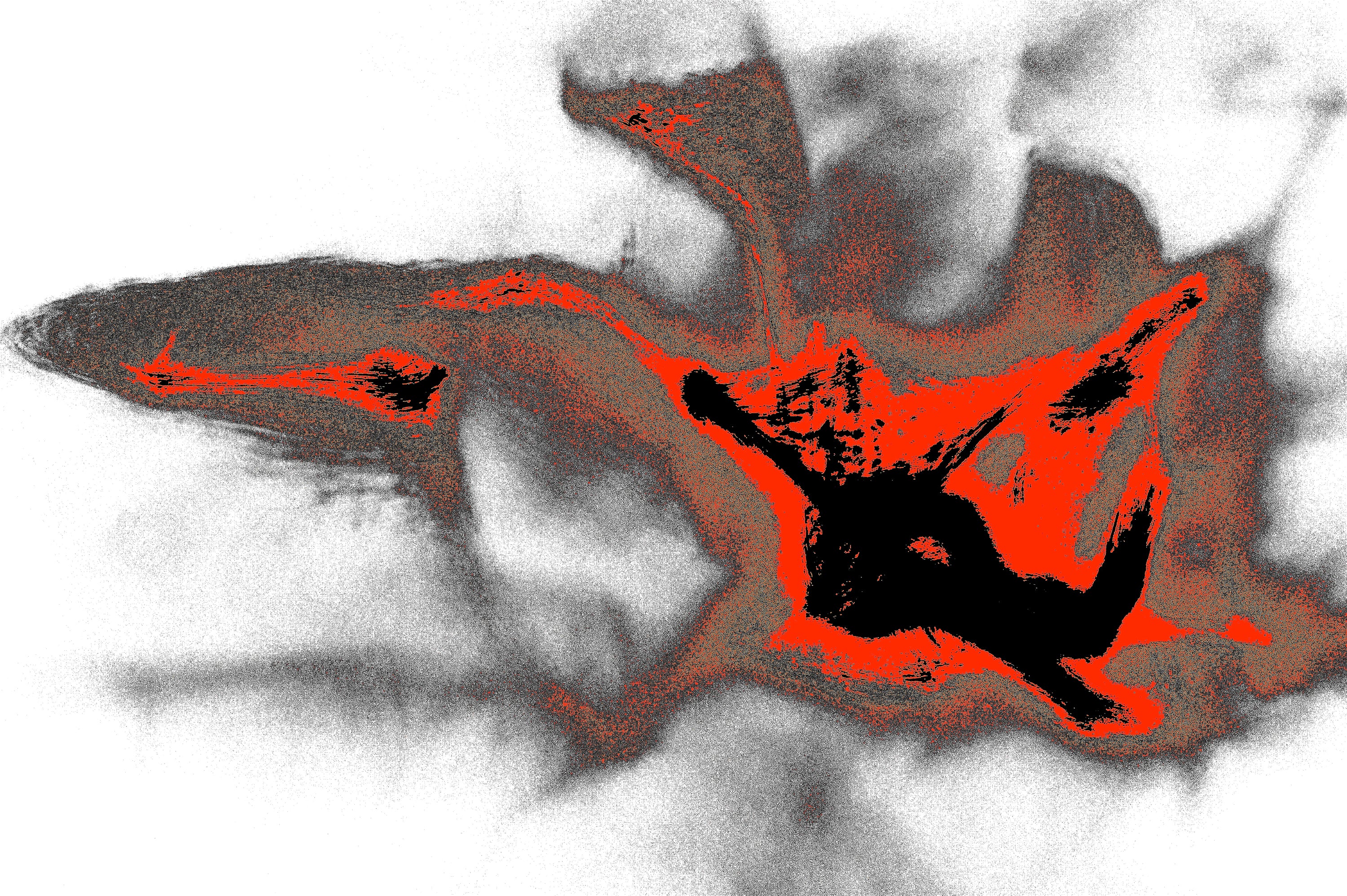 SHADOW FALL — Digital Art for Download