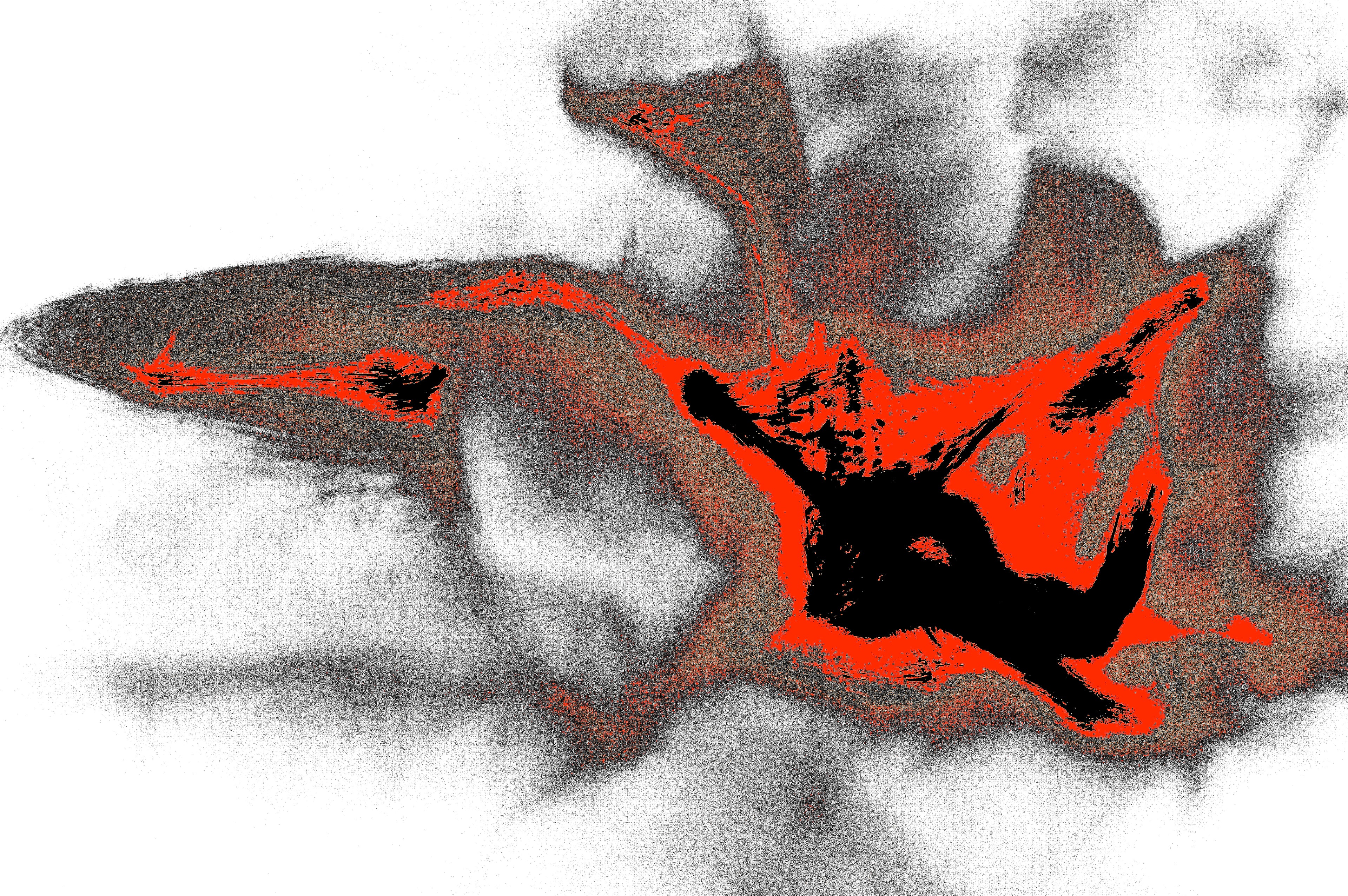 SHADOW FALL — Premium Kunstprint