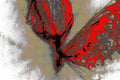 SCARLET WING — Premium Kunstprint