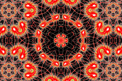 EMBER WEB MANDALA — Premium Digitaler