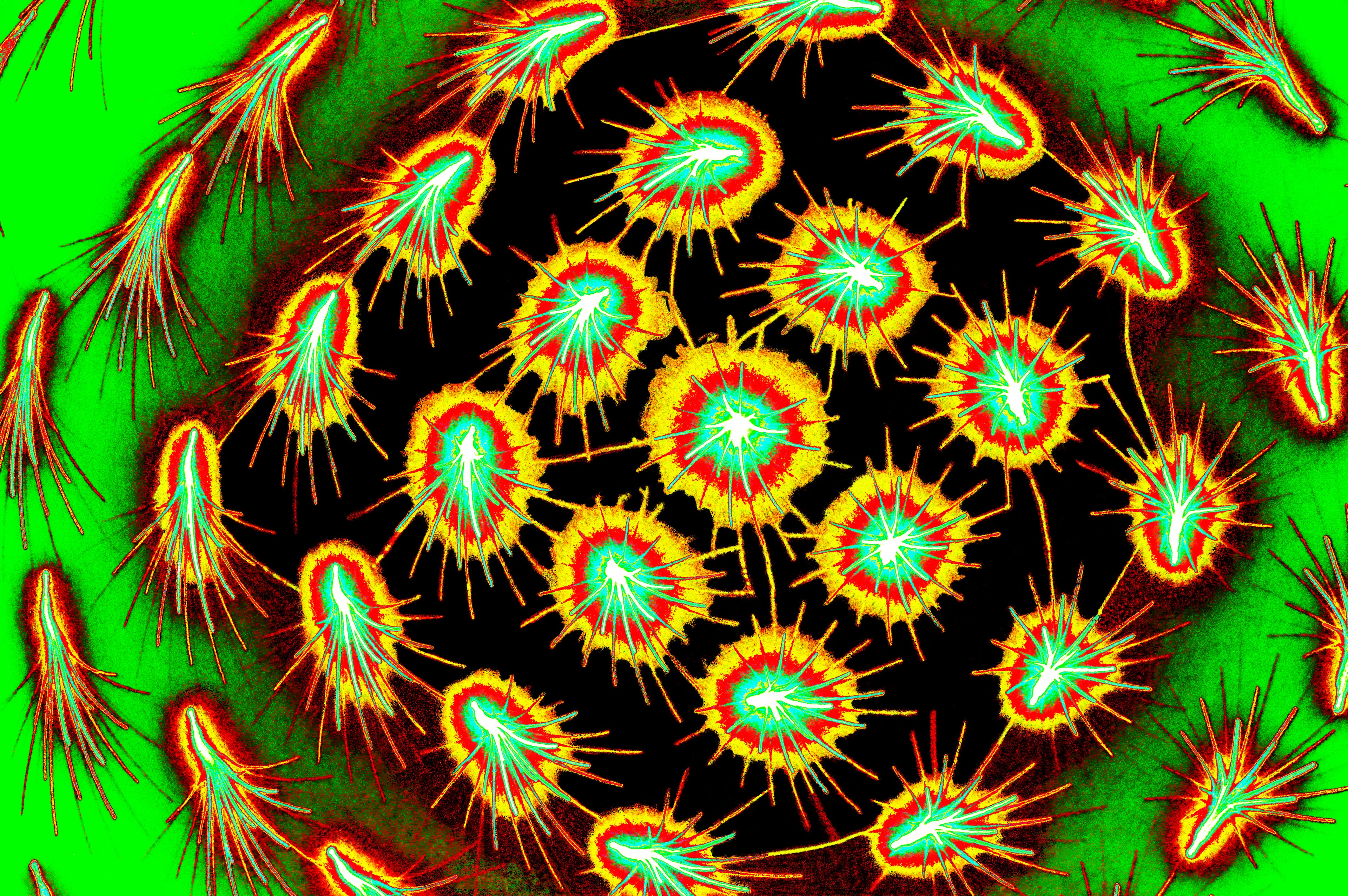 BIOLUMINESZENTE SPORE — Premium Digitaler Download