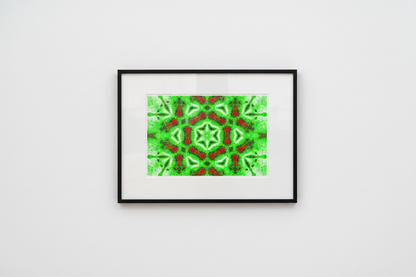 GREEN FERN STAR MANDALA — Mockup