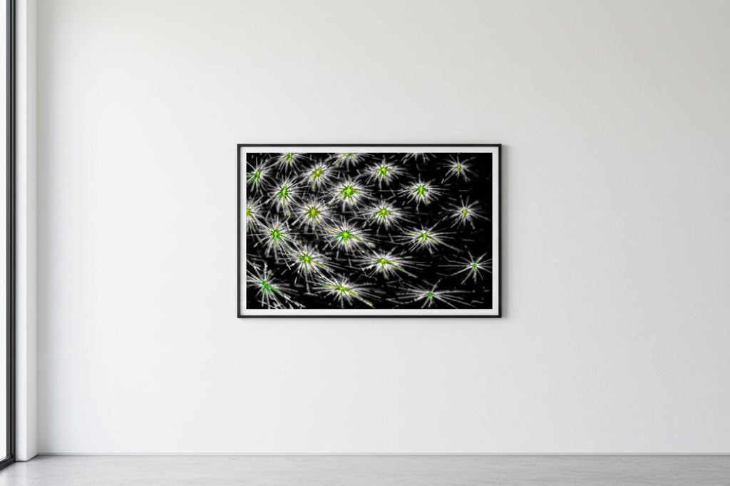 DARK SPORE – Galerie-Mockup, gerahmter Kunstdruck im Querformat an weißer Wand