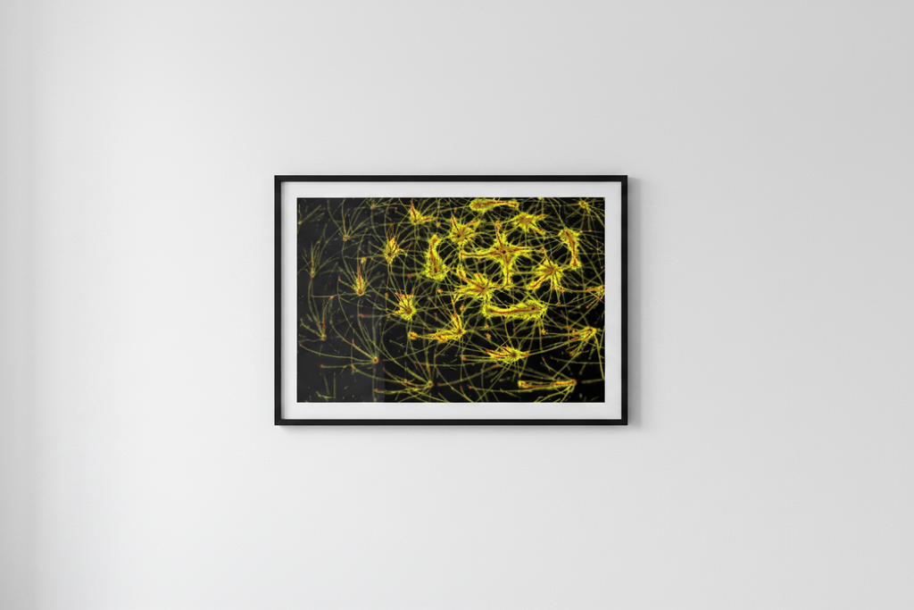 NEON NETWORK – Galerie-Mockup, gerahmter Kunstdruck im Querformat an weißer Wand