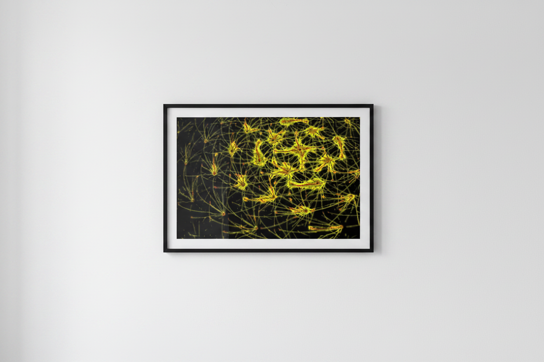 digitale kunst neon poster
