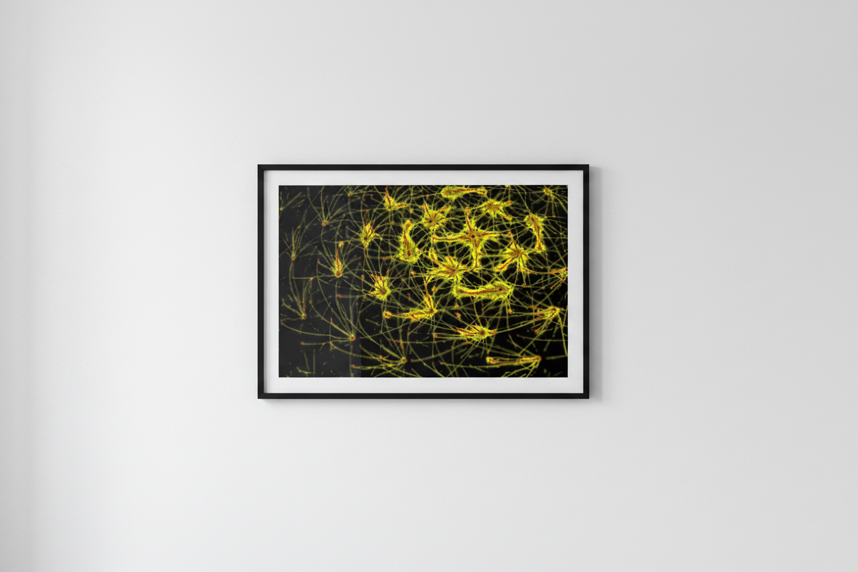 NEON NETWORK – Galerie-Mockup, gerahmter Kunstdruck im Querformat an weißer Wand