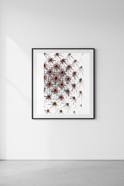 digitale kunst download crimson network